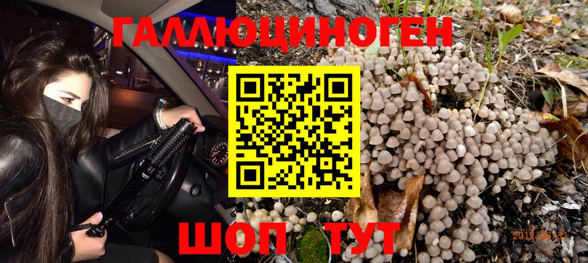 Псилоцибиновые грибы Cubensis Иркутск